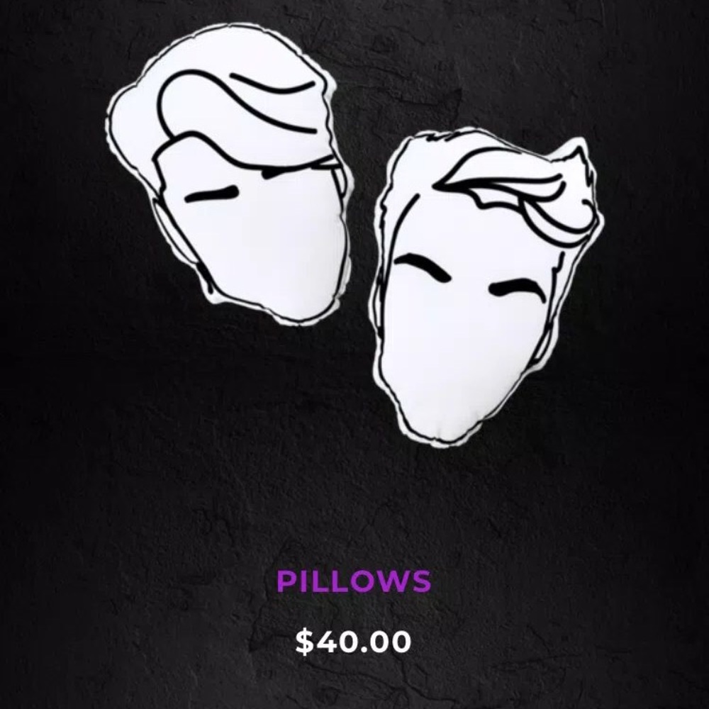 Dolan Twins white pillows